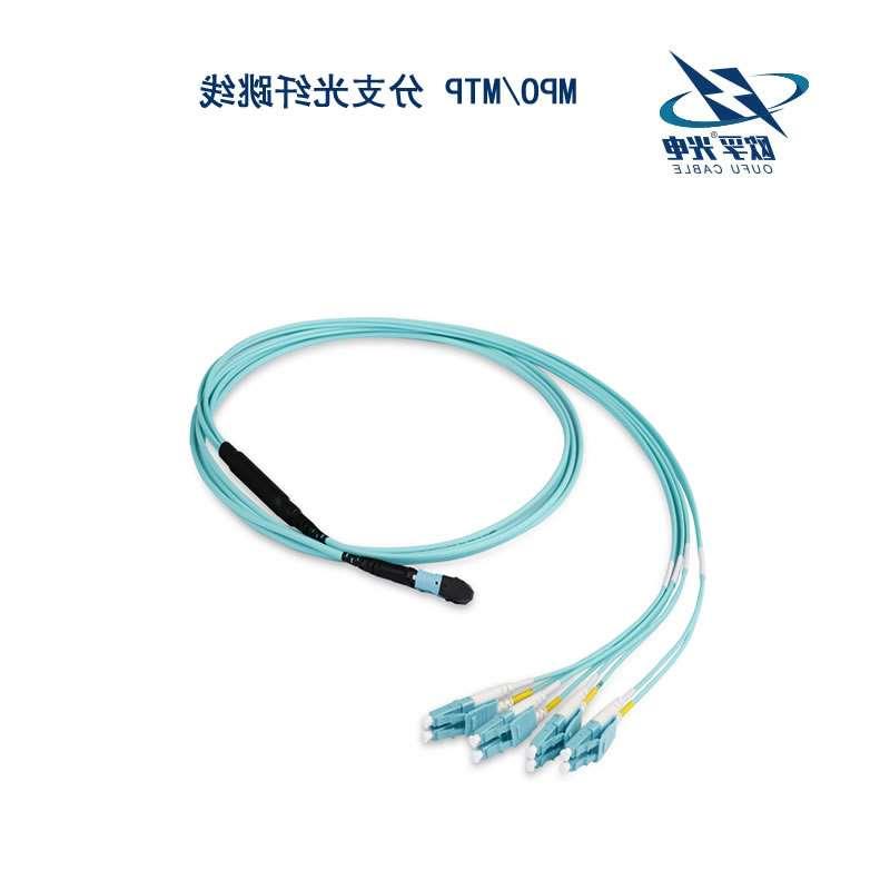 荆州市MPO/MTP 分支光纤跳线